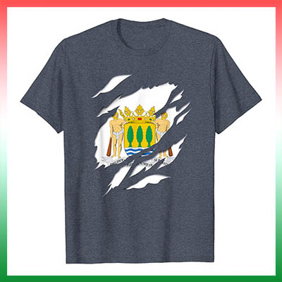 comprar escudo y bandera region de guipuzcoa gipuzkoa Escudo Efecto desgarro 3D Pais Vasco euskadi camiseta manga corta en amazon