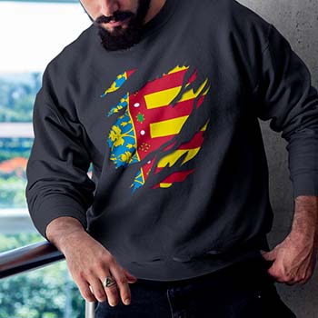 comprar en amazon bandera y escudo comunidad valenciana sudadera unisex gris sweatshirt valencia