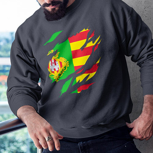 comprar en amazon bandera y escudo de la provincia ciudad de castellon sudadera manga larga sweatshirt