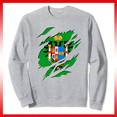 comprar en amazon bandera y escudo provincia de toledo sudadera manga larga sweatshirt