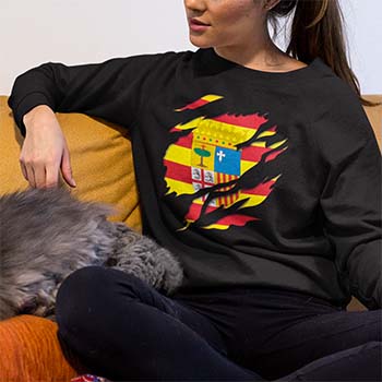 comprar en amazon sudadera bandera y escudo aragon mujer unisex gato