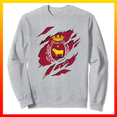 comprar en amazon bandera y escudo ciudad de teruel aragon sudadera manga larga sweatshirt