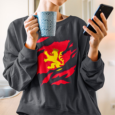 comprar en amazon bandera y escudo ciudad de zaragoza aragon sudadera manga larga sweatshirt