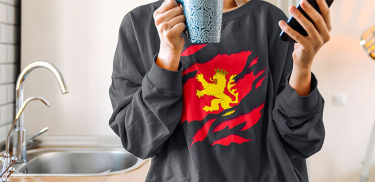 comprar online bandera y escudo ciudad de zaragoza aragon sudadera manga larga sweatshirt