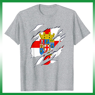 comprar online bandera camiseta almería provincia