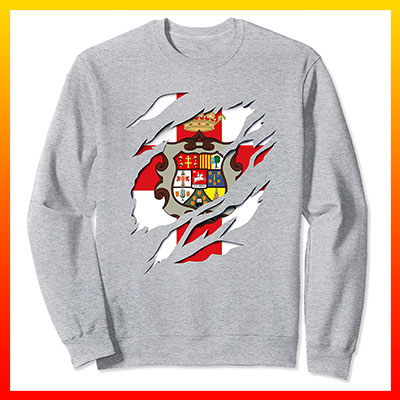 comprar online sudadera bandera y escudo provincia de huesca aragon manga larga