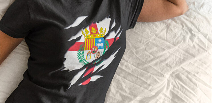 comprar en amazon camiseta bandera de teruel