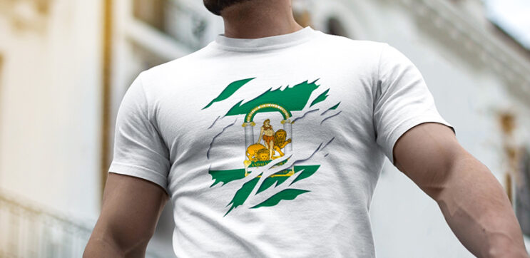 comprar online camiseta de andalucia