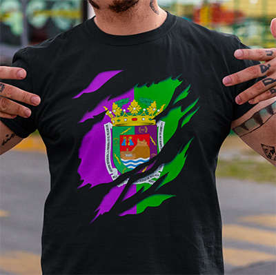 comprar online camiseta bandera de malaga ciudad andalucia