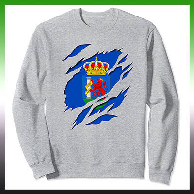 comprar online en amazon sudadera bandera de badajoz provincia de extremadura