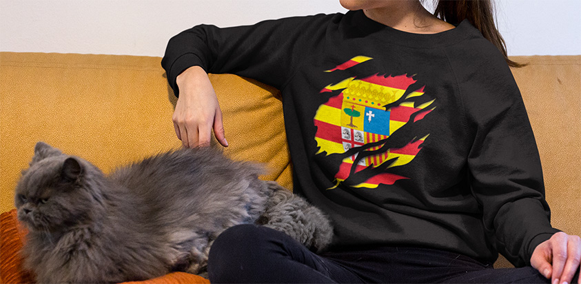 comprar online sudadera bandera Aragon