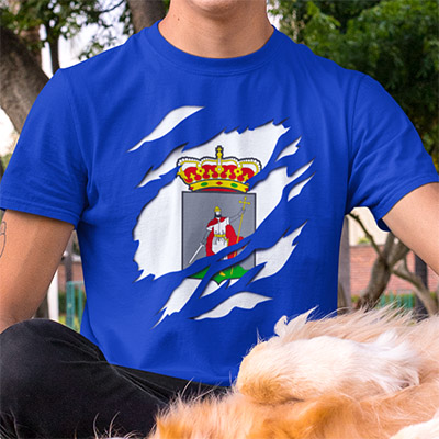 comprar en amazon camiseta manga corta bandera ciudad gijon asturias