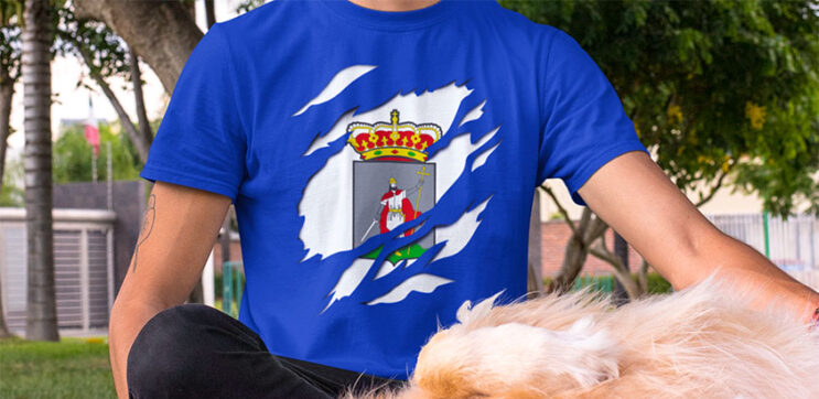 comprar oferta camiseta manga corta bandera ciudad gijon asturias