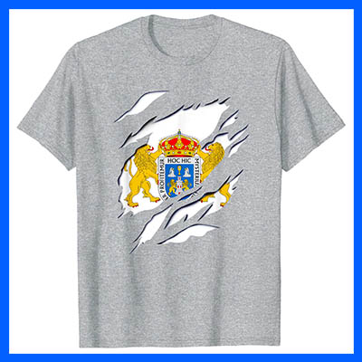 mejor precio camiseta manga corta bandera ciudad lugo galicia