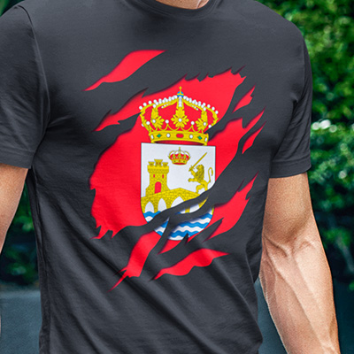 comprar en amazon camiseta manga corta bandera ciudad ourense orense galicia