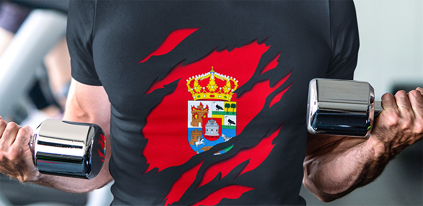 oferta camiseta manga corta bandera de avila provincia