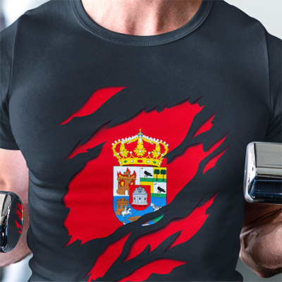 comprar en amazon camiseta manga corta bandera de avila provincia