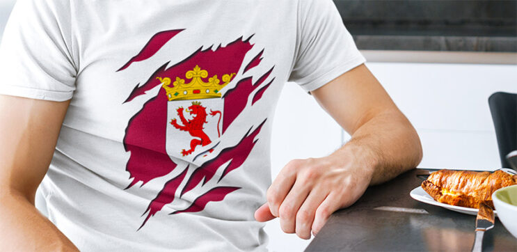 comprar oferta camiseta manga corta bandera leon provincia