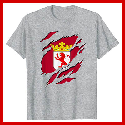 comprar online camiseta manga corta bandera leon provincia