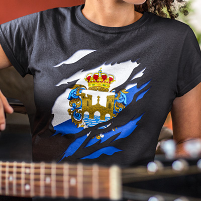 comprar online camiseta manga corta bandera provincia pontevedra galicia