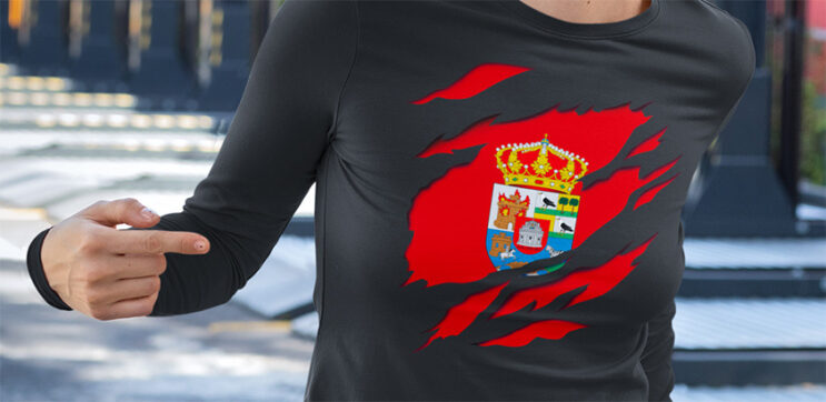 comprar online camiseta manga larga bandera de avila provincia