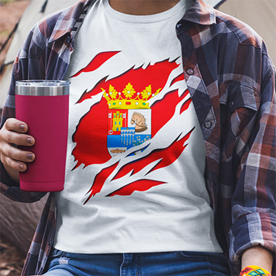 comprar oferta camiseta manga larga bandera segovia provincia