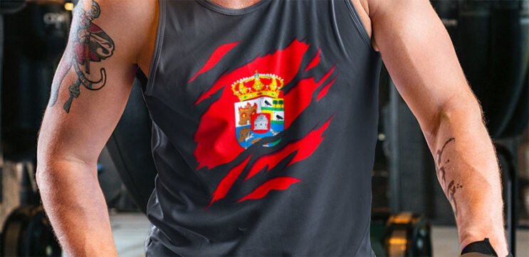 comprar mejor oferta camiseta sin mangas bandera de avila provincia