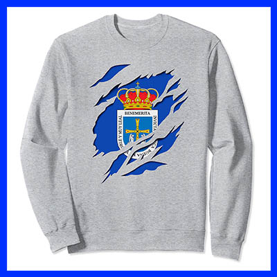 comprar online sudadera bandera ciudad oviedo asturias