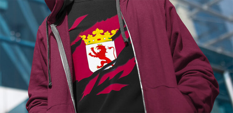 comprar online sudadera bandera leon provincia