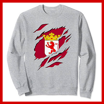 comprar oferta sudadera bandera leon provincia