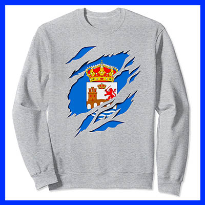 comprar online sudadera bandera provincia ourense orense galicia